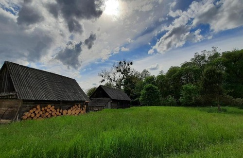 Brest Region House | Хата на болоте в пуще