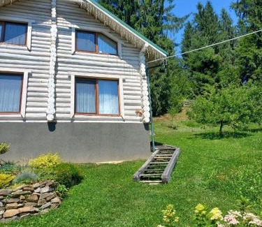 Yasinya Apartment | Шепіт лісу
