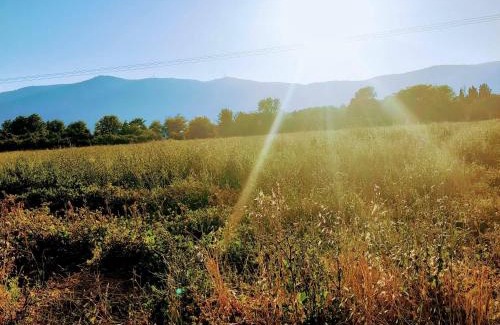 Beit Hillel House | אחוזת המייסדים