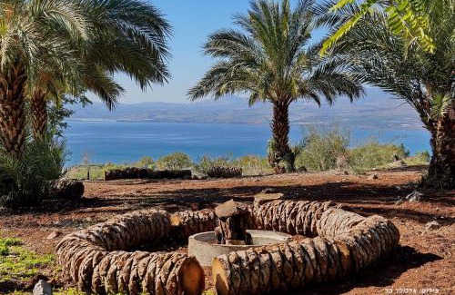 Ramot Cabin | בקתה בתמרים