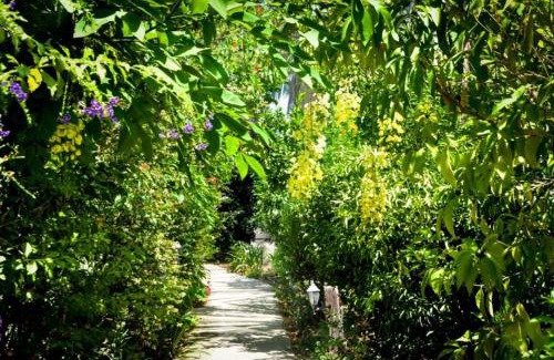 Ramot Cabin | בקתות מאיה רמות