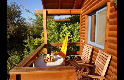 Ramot Apartment | החצר המוסיקלית רמות