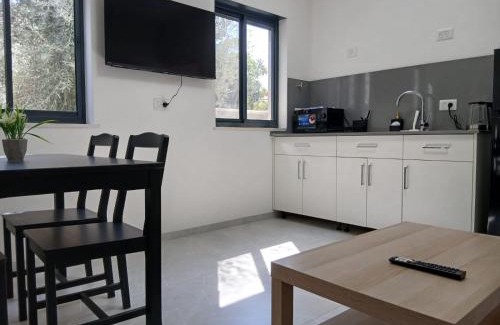 Beit Hillel Apartment | חלון לגליל העליון