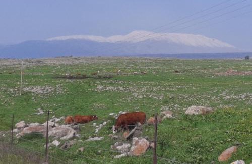Bruchim Qela' Alon Apartment | נוף לעמק