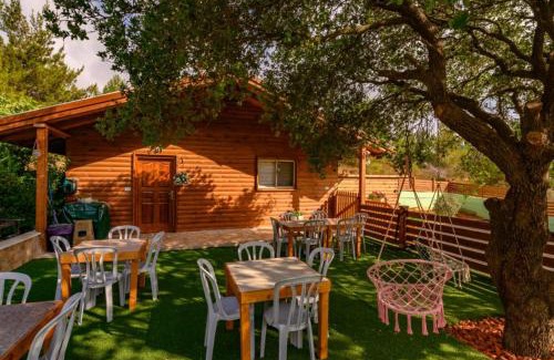 Daliyat al-Karmel Bed & Breakfast | צמרת הצימרים - צימרים מקסימים עם בריכה משותפת מחוממת וג'קוזי פרטי