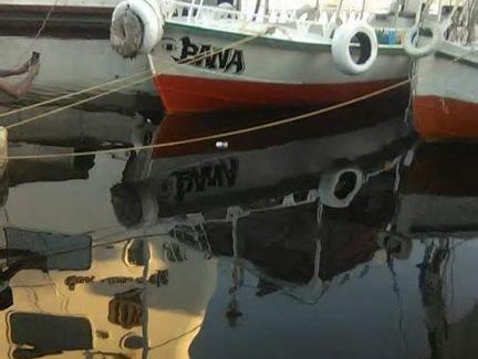 Aswan Boat Rental | اسوان