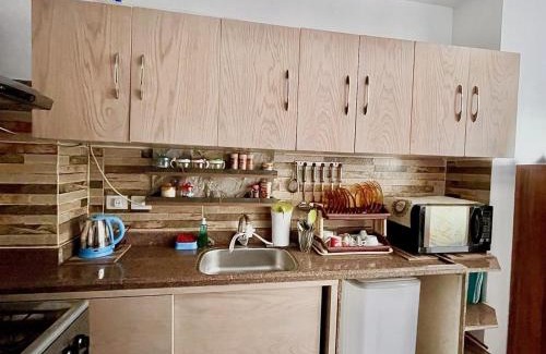 Al-Manasrah Apartment | شالية في بورتوسعيد للايجار Porto said