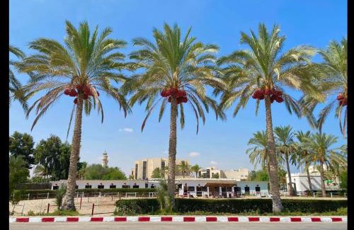 Al Arish House | شاليهات قريه سما العريش