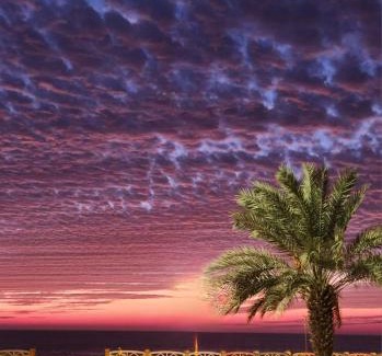 Al Wajh Hotel | فندق ماس الوجه