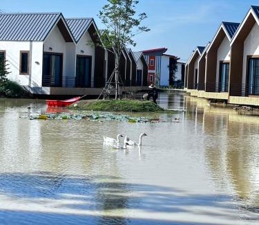 Lamphun Resort | ซิตี้ รีสอร์ท