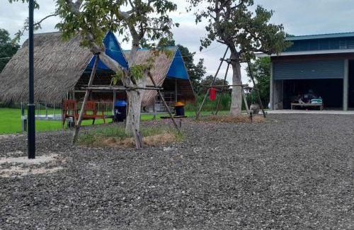 Buriram Other | ทุ่งนาแคมป์ปิ้ง Countryside