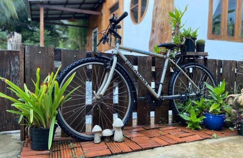 Hang Dong House | บ้านทาคายามา