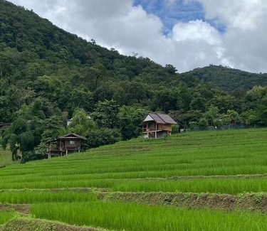 Mae Chaem House | บ้านพักชิปู ป่าบงเปียง