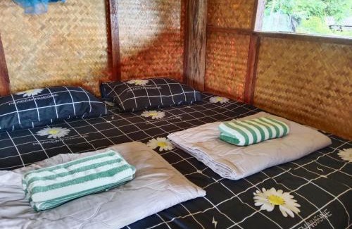 Mae Chaem House | บ้านพักชิปู ป่าบงเปียง