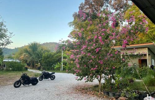 Nakhon Nayok House | บ้านอยู่ดีโฮมสเตย์