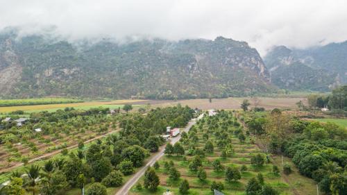 Lan Sak House | บ้านในสวน รีสอร์ท หุบป่าตาด