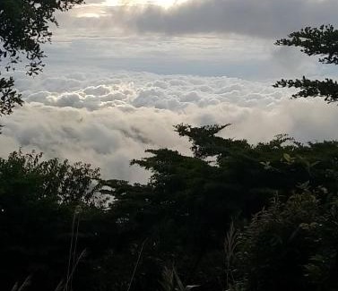 Phetchabun Resort | ฟ้ากำหนด ภูทับเบิก