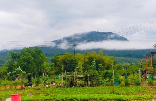 Wang Nam Khiao Villa | ภูระเริงวิลล่า วังน้ำเขียว Phu Raroeng Villa