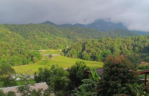 Doi Lo House | อินทนนท์สุขุมทิพย์ โฮมสเตย์