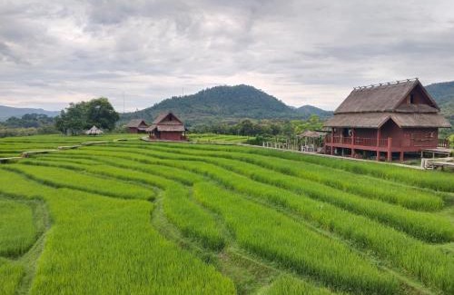 Luang Prabang House | ເຂົ້າໜຽວຟາມສະເຕ-Kao Niaw Farmstay