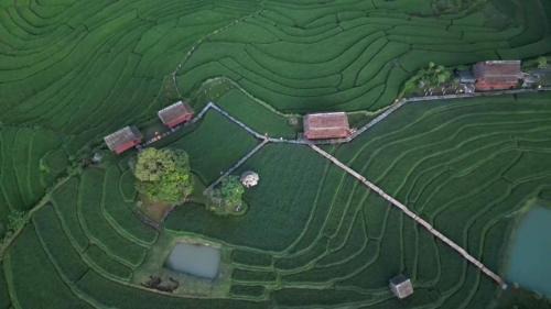 Luang Prabang House | ເຂົ້າໜຽວຟາມສະເຕ-Kao Niaw Farmstay