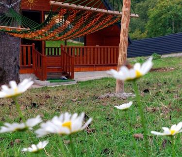 Kinchkha-Perdi House | საოჯახო კოტეჯი ფშუქები