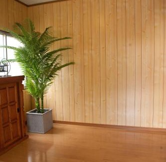 Gujo Apartment | お宿葉の光