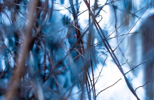 Yuzawa-machi House | 古民家宿Tani House Itaya