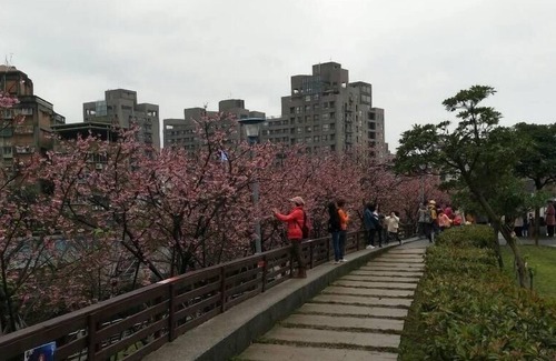 Xizhi District Apartment | 台北近郊鬧中取靜的好地方(內湖雅房)Nature beside Taipei City