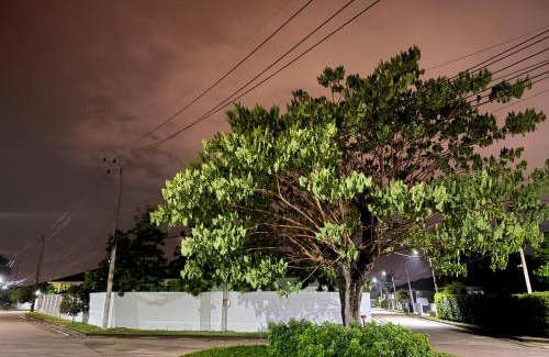 Na Kluea Villa | 喧嚣都市绿荫花丛中的PanaLee别墅