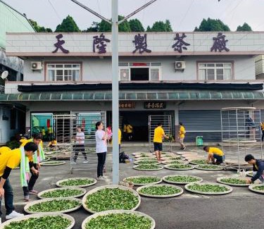 Alishan House | 天隆製茶廠民宿