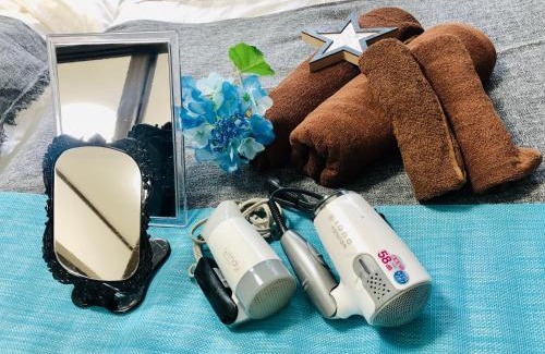 Itabashi Apartment | 板橋 RCアネックス Rc208