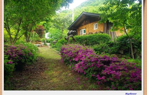 Eumseong House | 숲속 작은 황토집