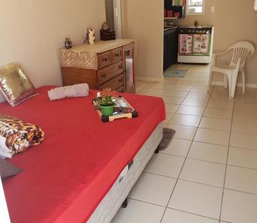 Sao Jose do Rio Preto Apartment | 011 kitnet aconchegante 20 min do HB HCM de carro