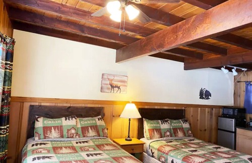 Tahoe Island Cabin | 05: The Tahoe Tamarack Pet Friendly Studio