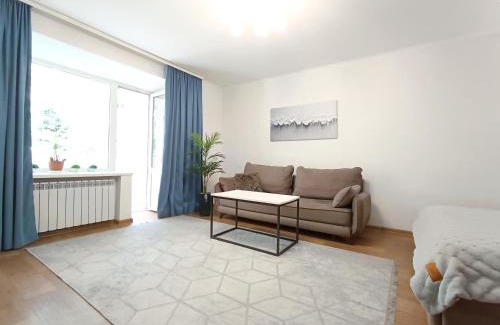Mykolaiv Apartment | 1 к простора квартира Сіті центр 2 поверх вікна на парк