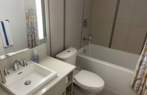 Downtown Toronto Apartment | 1 + 1 Bedroom Apartment In Entertainment District Downtown Toronto