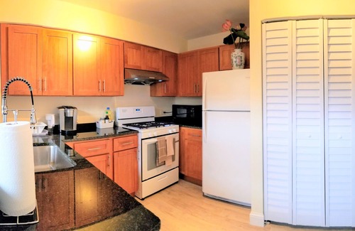 Chinatown Condo | 1 #33 - 4 Bedroom/2 Bath Condo near McCormick Place, Wintrust Arena, Chinatown