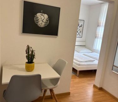 Winterthur Apartment | 1,5 Zimmer Appartement