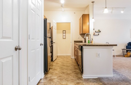 Johnson City Apartment | 1 Bdrm/1 Bath Pool, Gym, Sand Volleyball Court, 10 Mins From Downtown