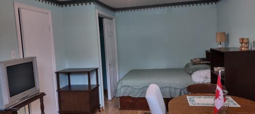 Hamilton Apartment | 1-bdrm apartment 3 min walk to McMaster University