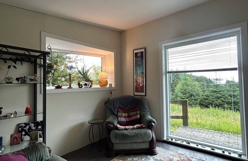 Hollywood Cabin | 1 bed Eco retreat for couples & singles. Pet friendly. Sauna & outdoor shower.