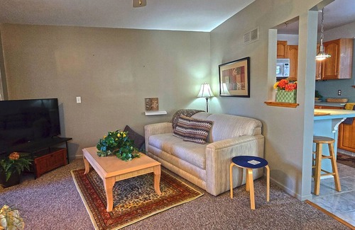 Fenton Apartment | 1-Bed Furnished Apartment, close to Fenton, Michigan. Pets welcome. 1-car Garage