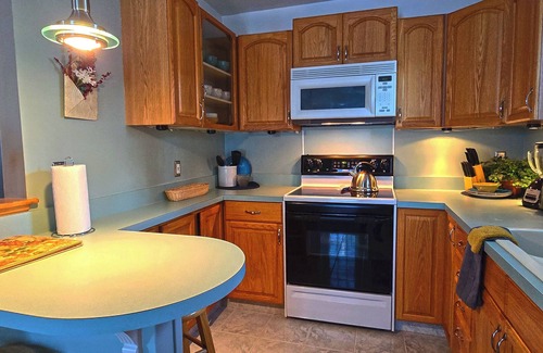 Fenton Apartment | 1-Bed Furnished Apartment, close to Fenton, Michigan. Pets welcome. 1-car Garage