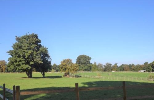 Beccles House | 1 bed in Beccles 65080