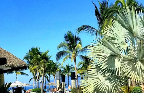 Nuevo Vallarta Condo | 1 Bed Marival Distinct Residences (1BR/2Bath) w/Platinum benefits, five star A+