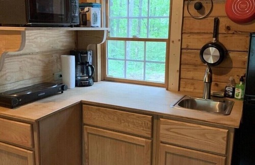 McArthur Cabin | 1 Bedroom,1 Bath, Porch, Fire Pit, Grill, Beautiful Wooded Location, Wi-Fi also!