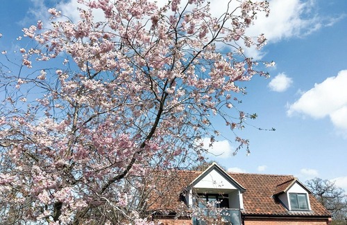 Bury St Edmunds Cottage | 1 bedroom accommodation in Bury St Edmunds