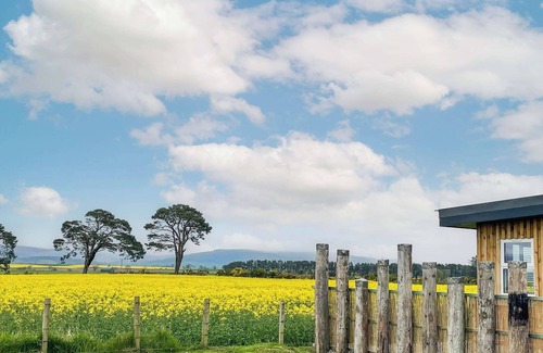 Laurencekirk Cottage | 1 bedroom accommodation in Luthermuir, near Laurencekirk