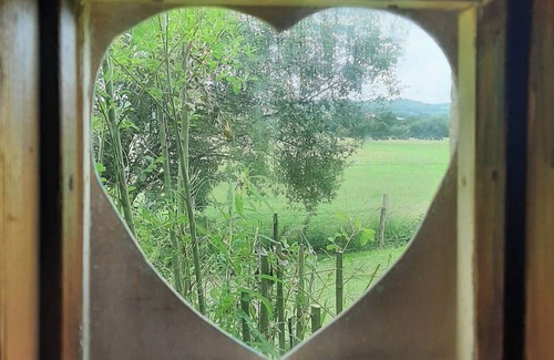 Llanybydder Cottage | 1 bedroom accommodation in Llanybydder, near Lampeter